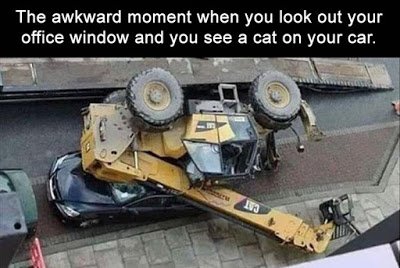 an-awkward-moment-when-you-see-a-cat-on-your-car.jpg.8c1b9bf6db663932d148e9e9d29f8c4c.jpg