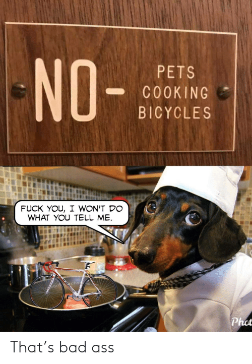 no-pets-c0oking-bicycles-fuck-you-i-wont-do-what-62218046.png.9a16ff50b768d1ee781811e9e855f8a2.png