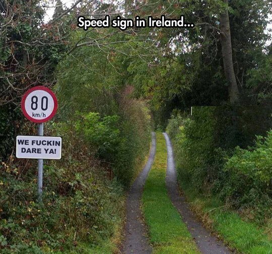 funny-speed-sign-Ireland-forest1.jpg.715d36dbc9ee4e4ffcb01004499d8db3.jpg
